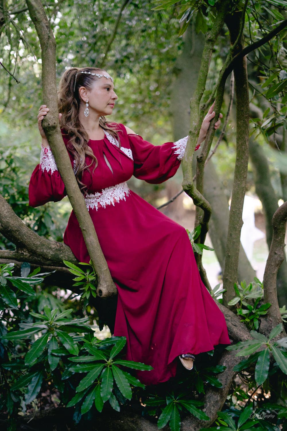 Aynaz seated in a tree, gazing into the distance